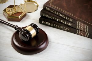 Immigration Lawyer Austin: Expert Legal Guidance for Your Needs